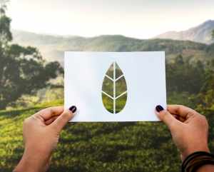 What Is a Carbon Footprint? What Is a Carbon Footprint?